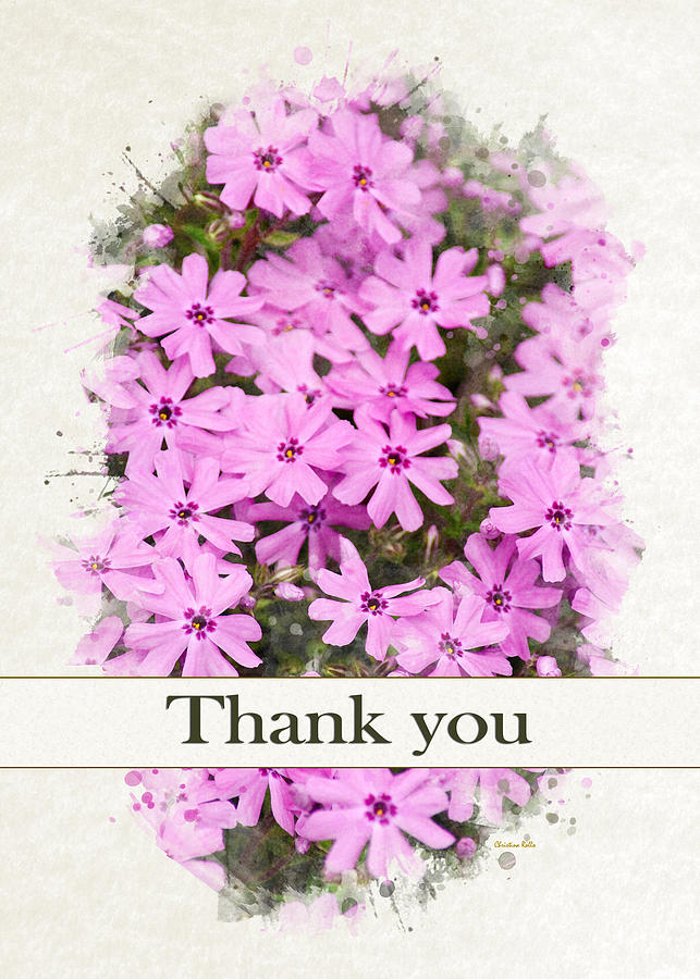 Phlox Flowers Watercolor Thank You Card Mixed Media by Christina Rollo
