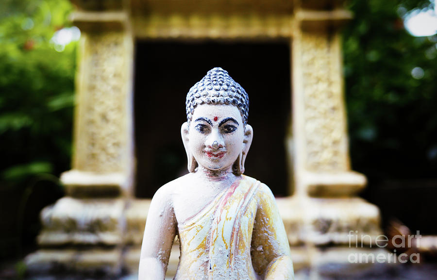 Phnom Penh Buddha Photograph by Dean Harte