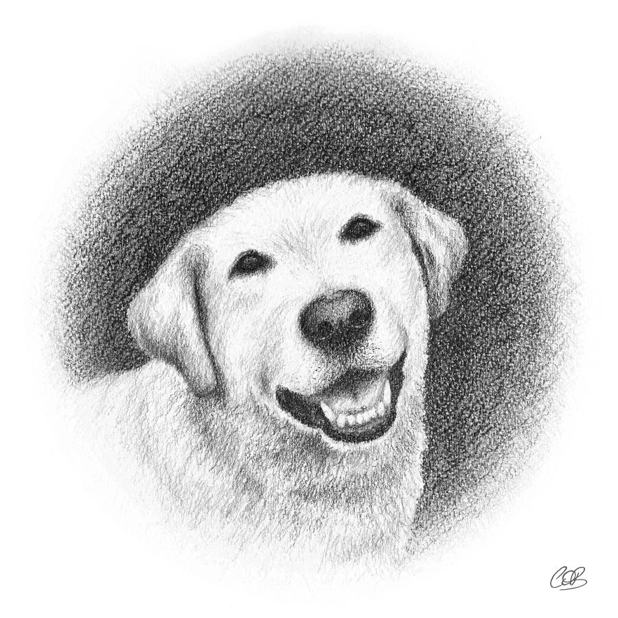 Phoebe Drawing by Conor O'Brien - Fine Art America