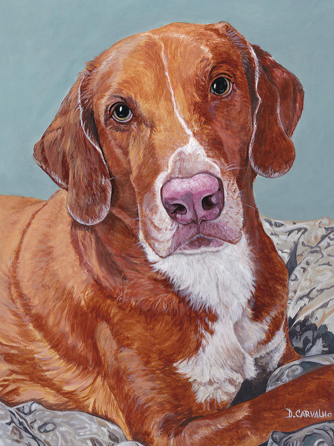 Dog Painting - Phoebe by Daniel Carvalho