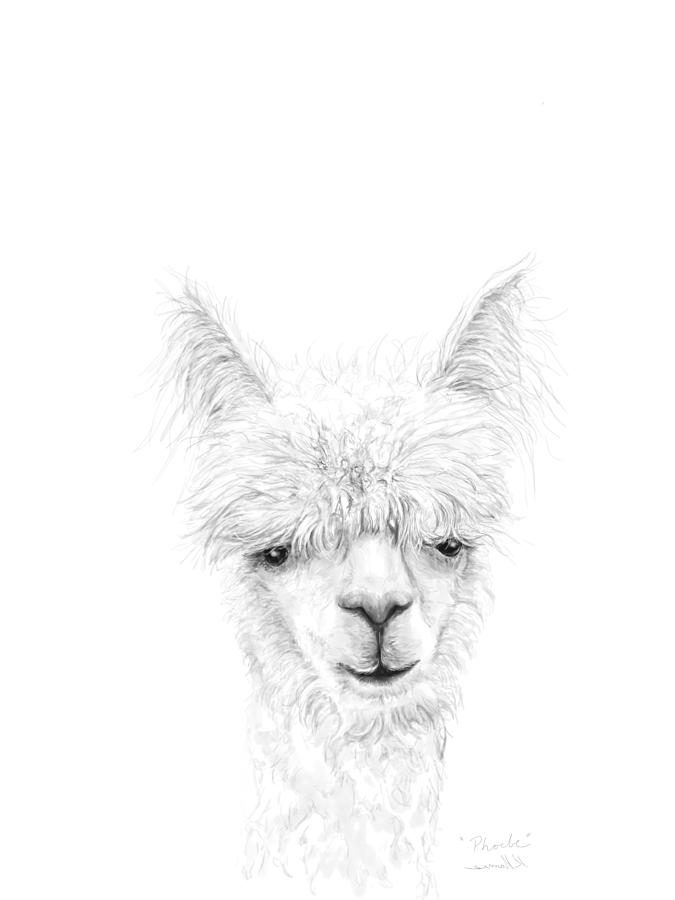 Llama Drawing - Phoebe by Kristin Llamas