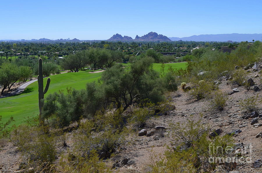 Golf Photograph - Phoenician Golf Course Series - 66 by Mary Deal