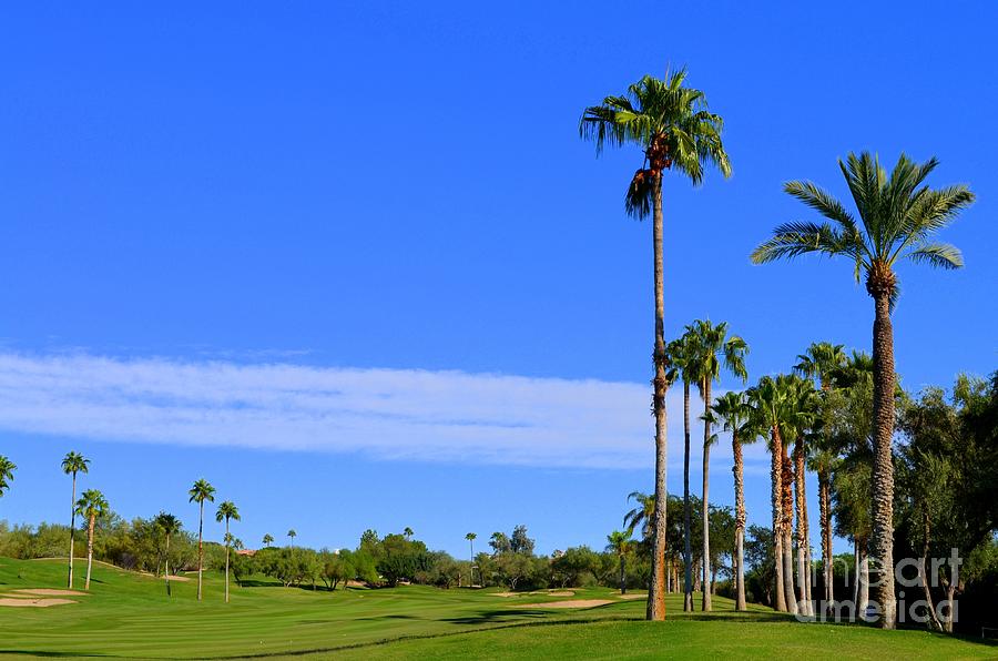 Golf Photograph - Phoenician Golf Course Series - 9 by Mary Deal