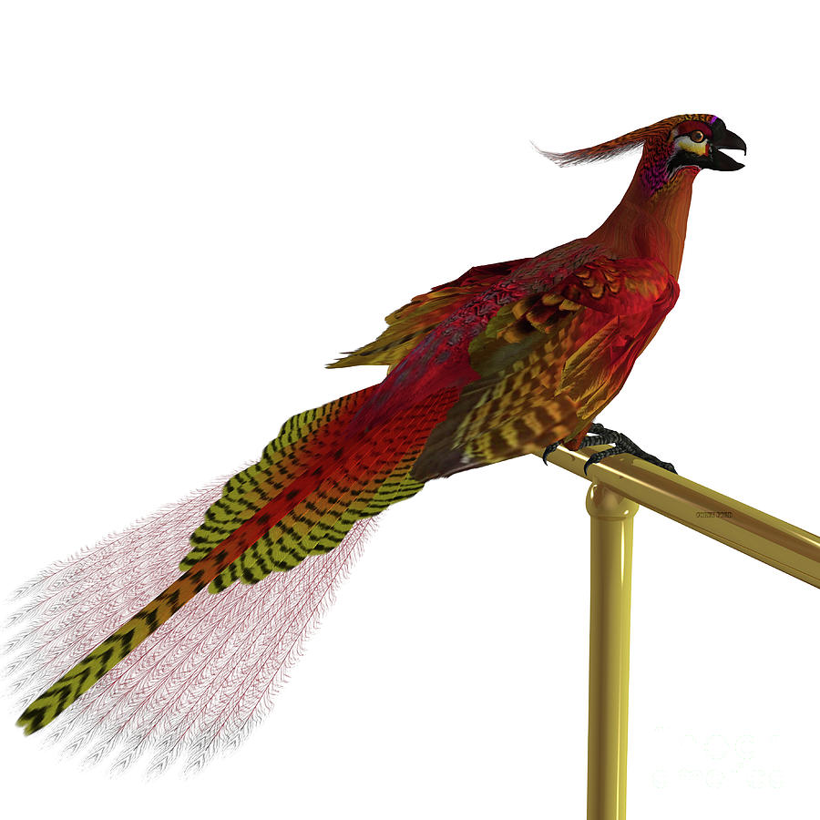 Phoenix Bird on Perch Digital Art by Corey Ford