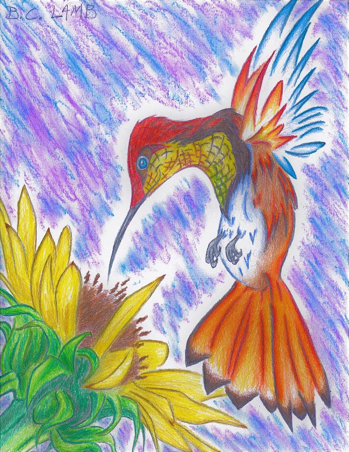 Hummingbird Drawing - Phoenix Fire Hummingbird by Bryant Lamb