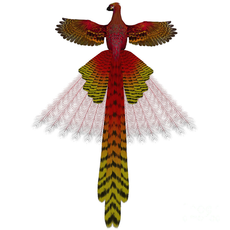 Phoenix Firebird Painting by Corey Ford