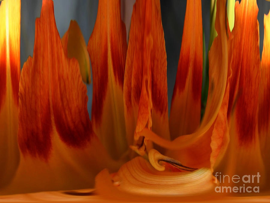 Abstract Digital Art - Phoenix Flame by Standing Crow