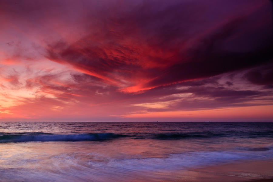 Sunset Photograph - Phoenix Flying by Robert Caddy