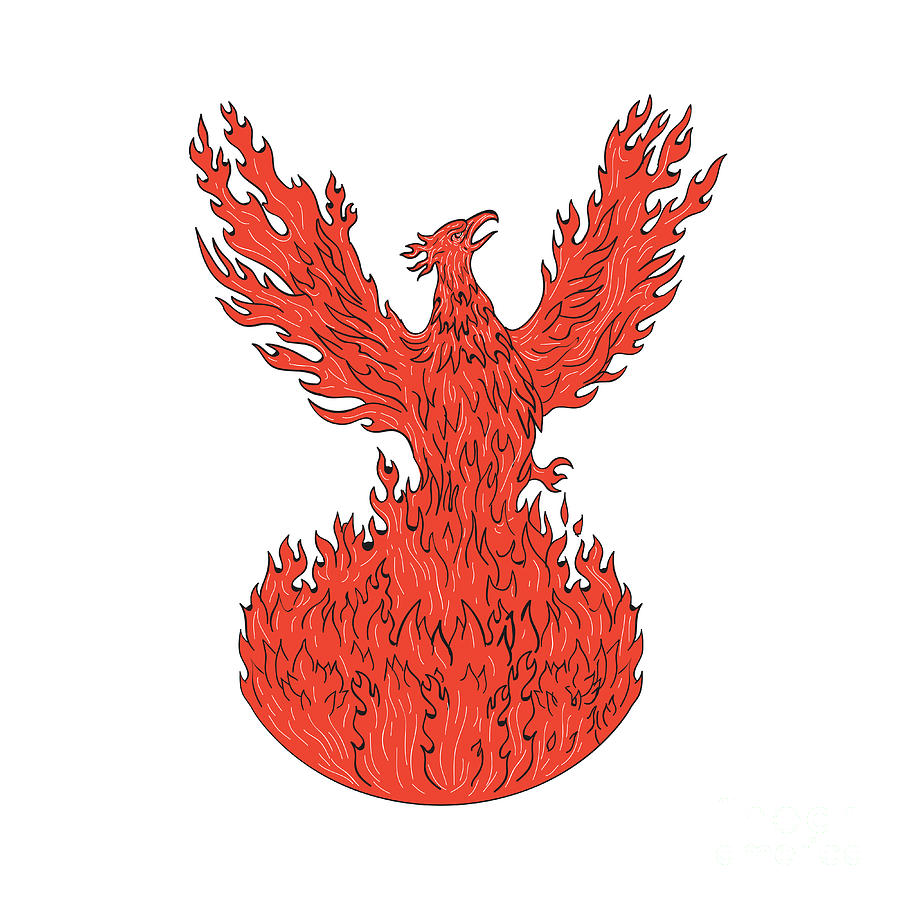 phoenix bird rising from the ashes drawing
