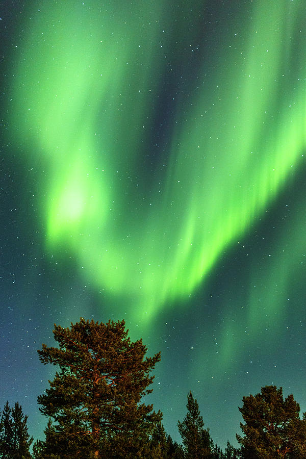 Phoenix Rising Northern Lights Karasjok Norway Photograph by Adam Rainoff