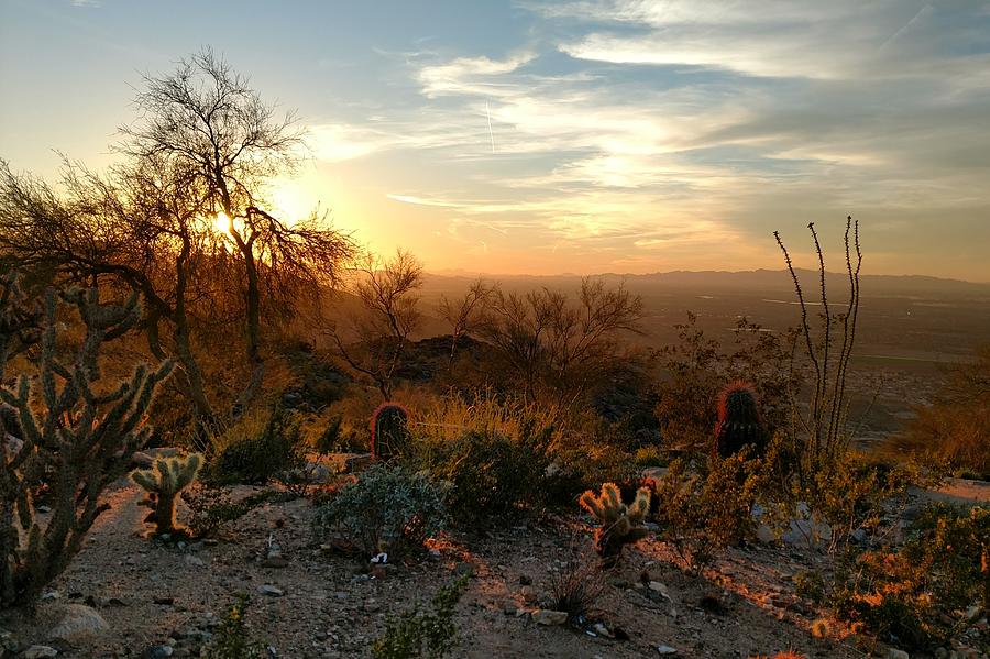 Phoenix Sunset Photograph by Brad Nellis