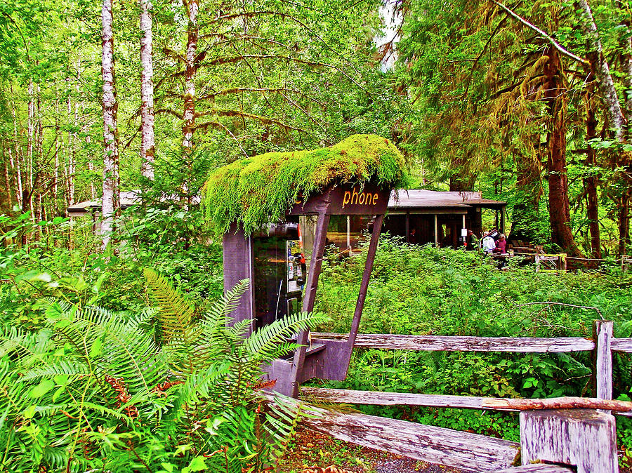 Phone Booth near Visitors Center in Hoh Rain Forest, Olympic National Park, Washington Photograph by Ruth Hager