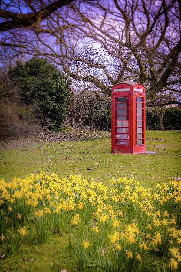 Flower Photograph - Phone box and flowers by Joe Rey