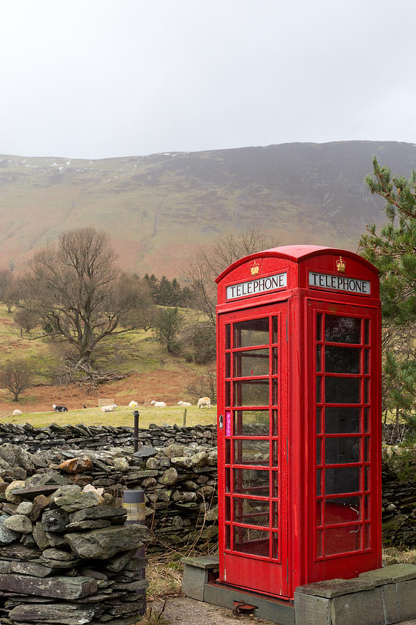 Sheep Photograph - Phone box vertical by Paul Cowan