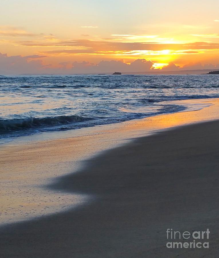 Photo 19 Ocean Sunset Photograph by Lucie Dumas