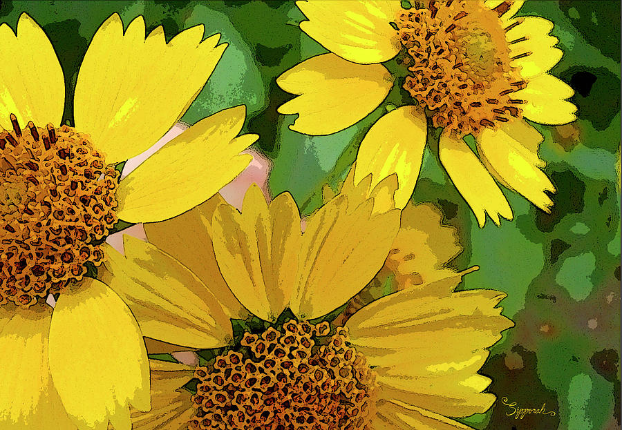 Yellow Wildflowers Photograph II Photograph by Sipporah Art and Illustration