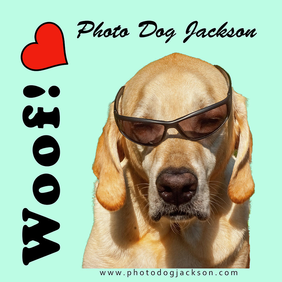Service Dog Photograph - Photo Dog Jackson Mug by Matthew Irvin