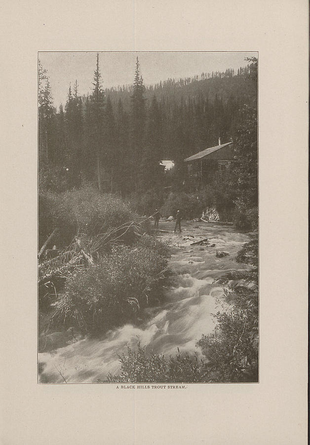 Photo of Black Hills Trout Stream from 1908 Tour Guide Photograph by Chicago and North Western Historical Society