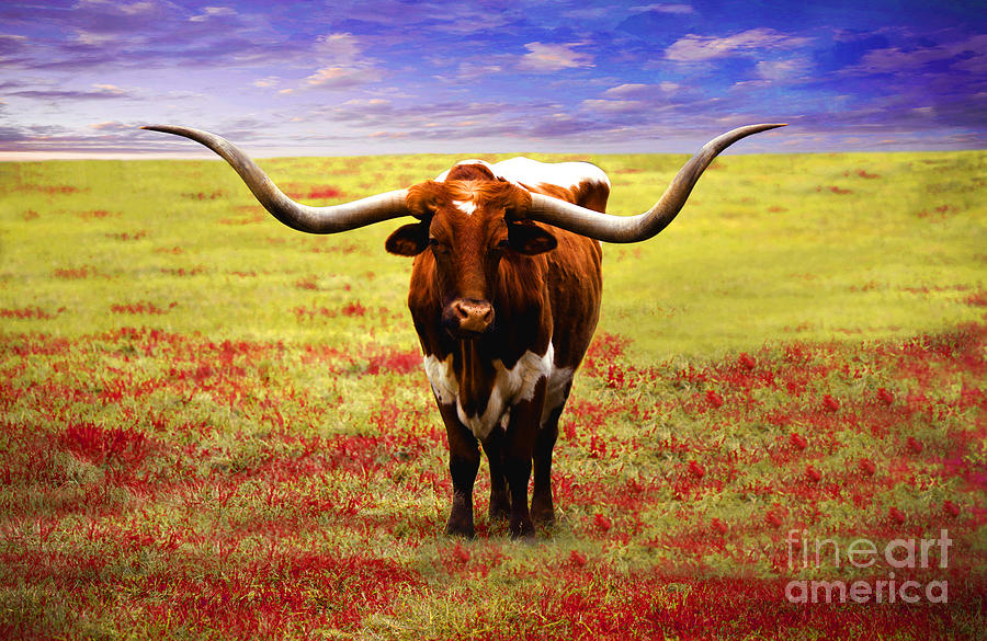 Photo Texas Longhorn A4010816 Painting by Mas Art Studio