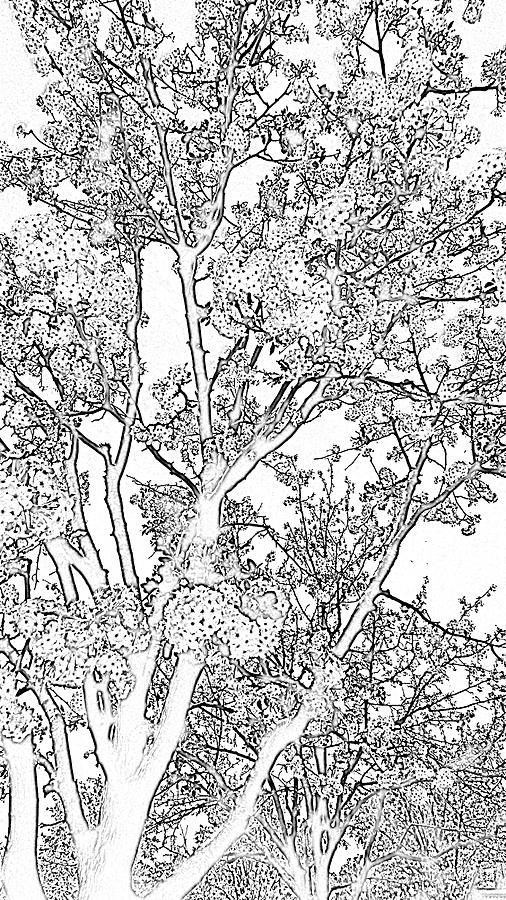 Photocopy Of Spring Digital Art by Eric Forster