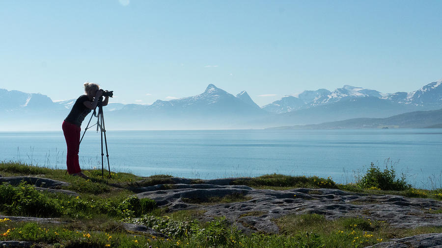 Summer Photograph - Photograph in Norway by Tamara Sushko