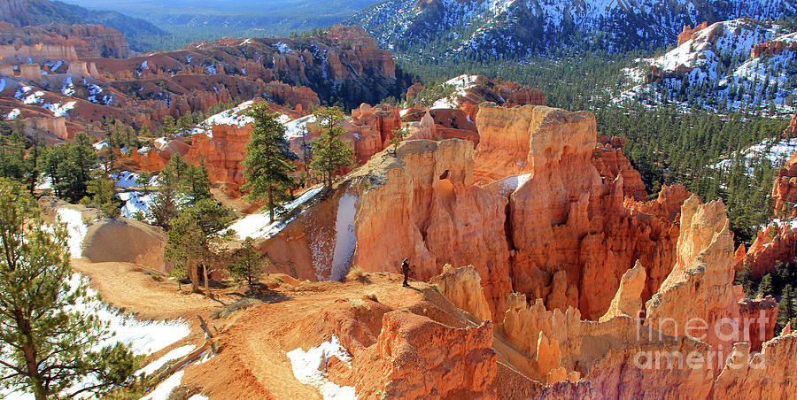 Photographer at Bryce Canyon National Park  2435 Photograph by Jack Schultz