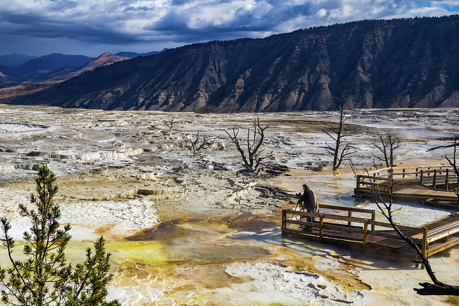 Photographer at Mammoth Hot Springs, Yellowstone Photograph by Roslyn Wilkins