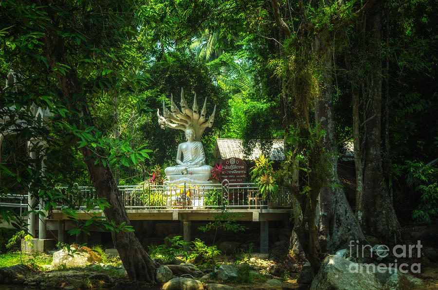 Buddhism Photograph - Phra Naga Prok at Wat Hin Laad by Michelle Meenawong