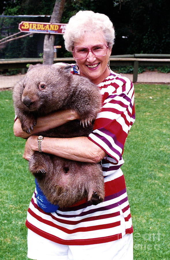 Phyllis Holding Thirty Pound Wombat Australia Photograph