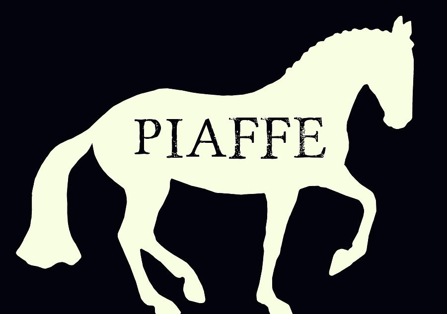 Piaffe Negative Photograph by Dressage Design