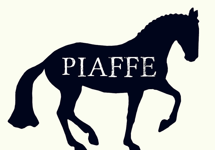 Piaffe Silhouette Photograph by JAMART Photography
