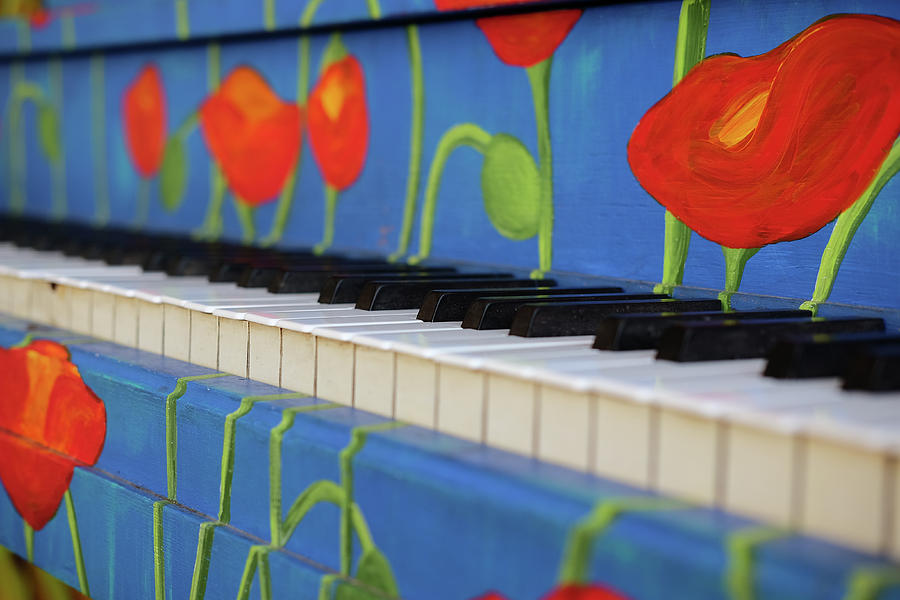 Piano Keys and Flowers Photograph by Monte Stevens