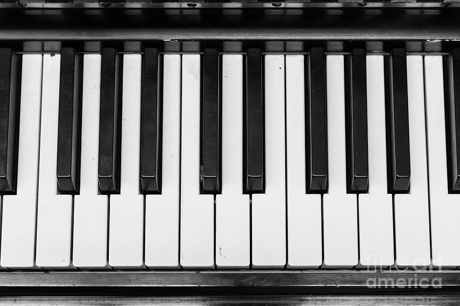 Key Photograph - Piano Keys Black and White by Edward Fielding