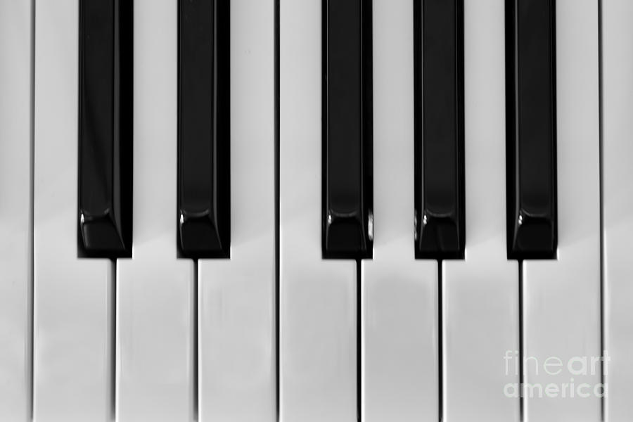 Piano Keys Photograph by Olga Hamilton