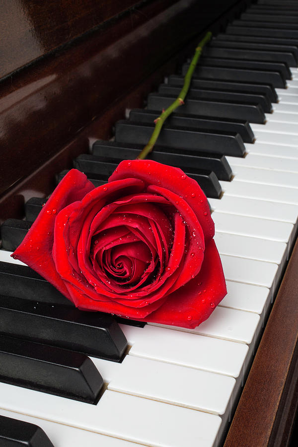 Piano Photograph - Piano Romance by Garry Gay