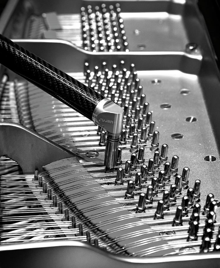 Piano Tuning BW Photograph by Adam Reinhart