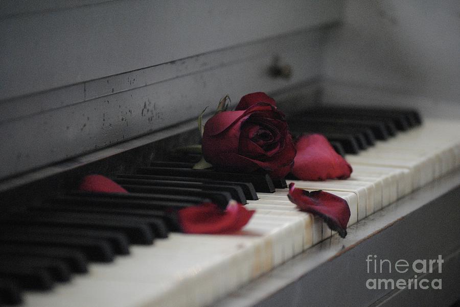 Piano with Vintage Rose Photograph by Alice Terrill