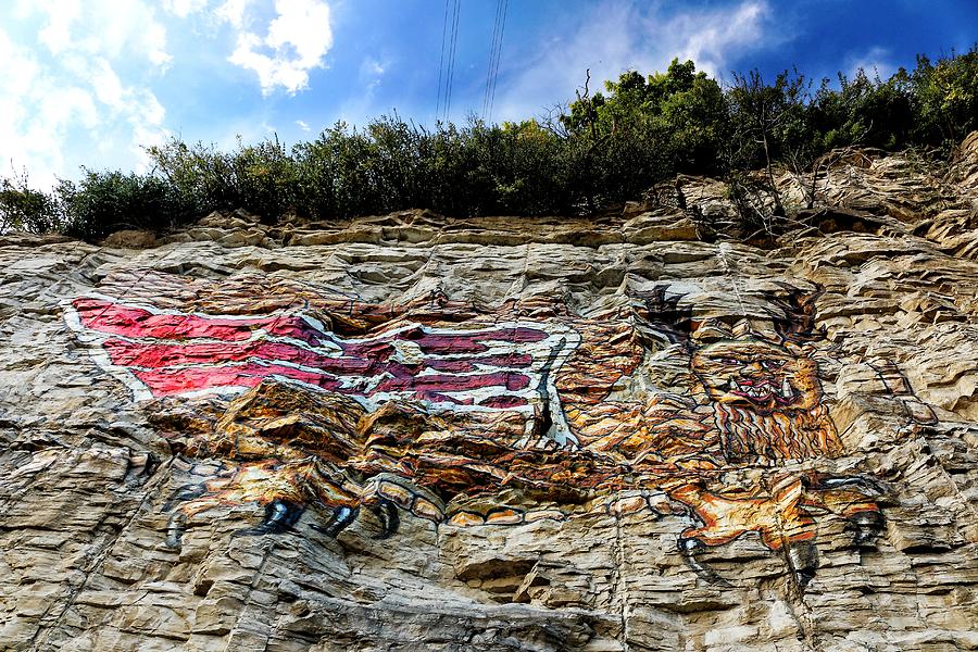 Piasa from a Low Angle Photograph by Buck Buchanan
