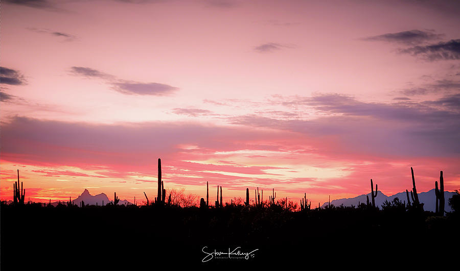 Picacho Sunset by Steve Kelley Picacho Sunset by Steve Kelley
