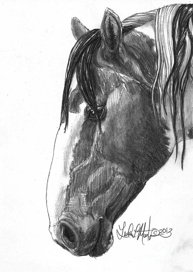 Picasso Drawing by Linda L Martin
