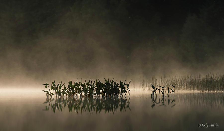 Pickerel Lake Fog Photograph by Jody Partin