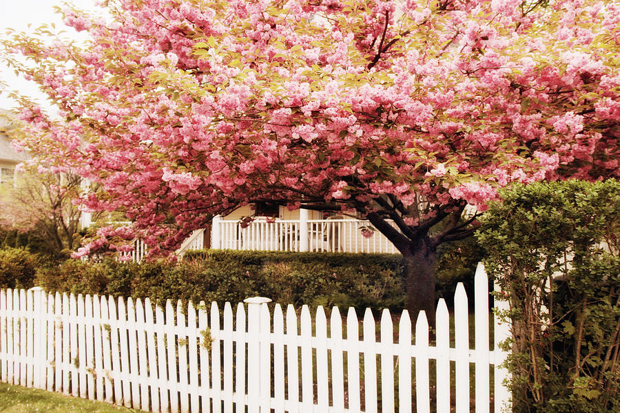Spring Photograph - Picket Fence Charm by Jessica Jenney