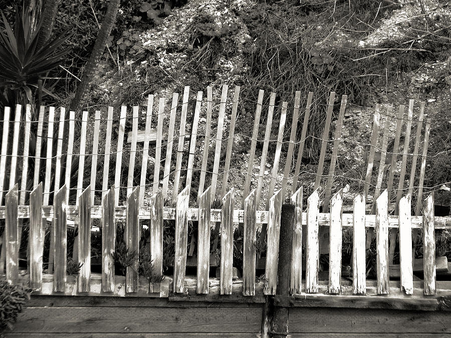 Picket Fence II Photograph by Joanne Coyle