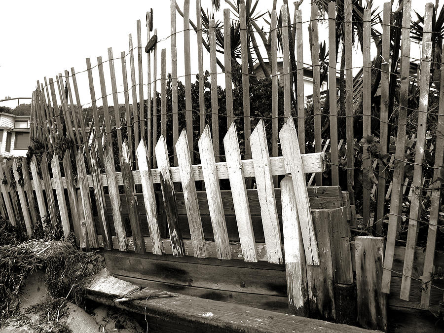 Picket Fence Photograph by Joanne Coyle