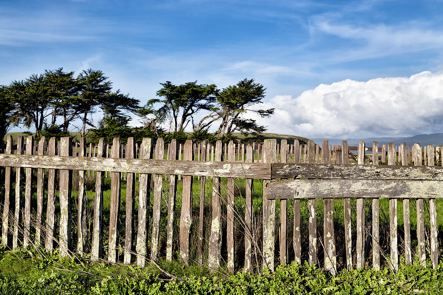 Picket Fence on a Coastal Prairie Photograph by Kathleen Bishop