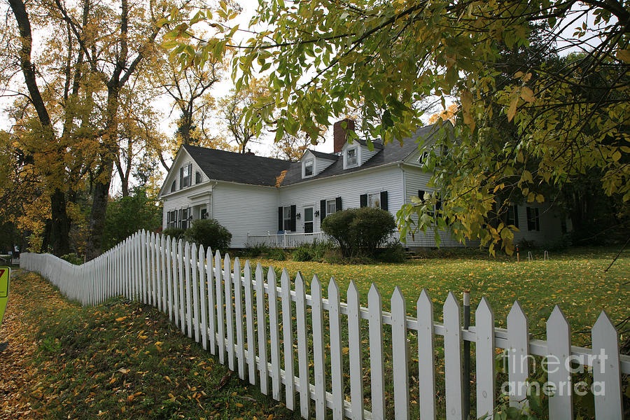 Picket Fence Photograph by Timothy Johnson