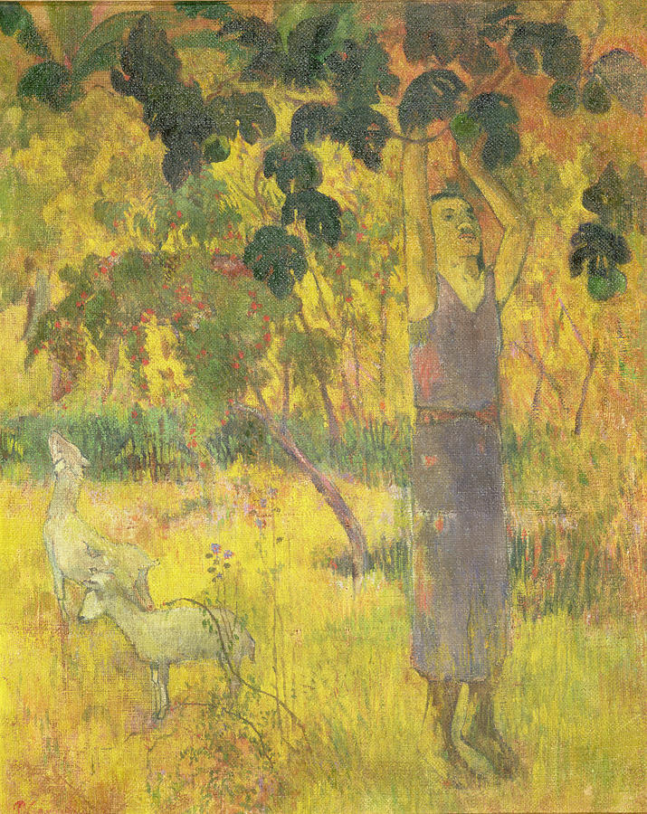 Paul Gauguin Painting - Picking Fruit from a Tree by Paul Gauguin