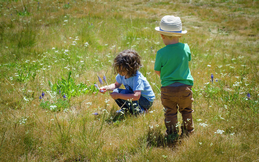Picking Wildflowers Photograph by Rick Mosher