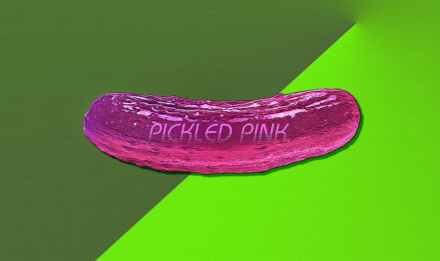 Vegetable Mixed Media - Pickled Pink by Steve Ohlsen
