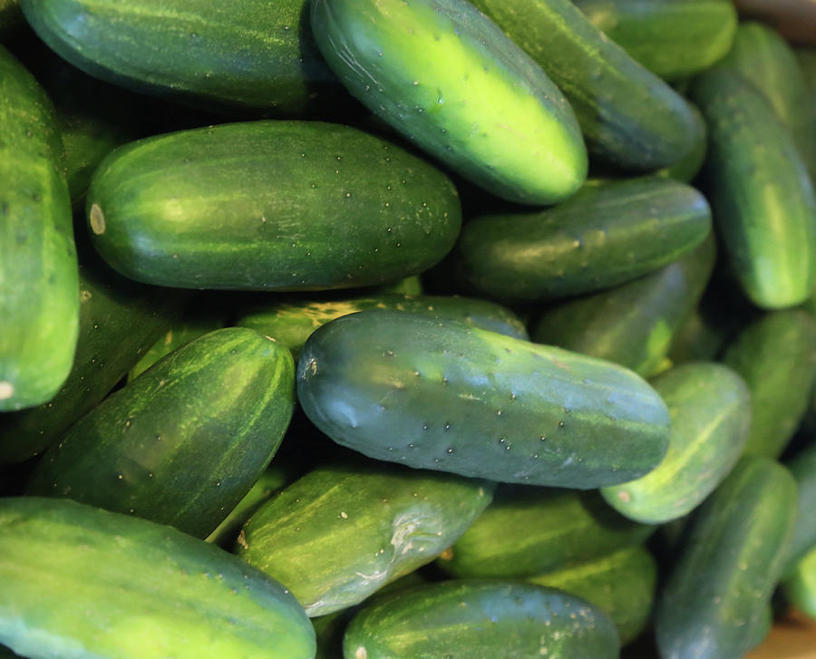 Pickling Cukes Painting by Imagery-at- Work